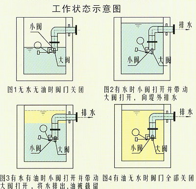 1619146886493961.jpg
